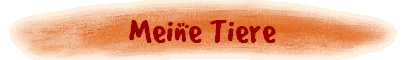 Meine Tiere