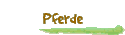 Pferde