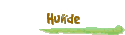 Hunde