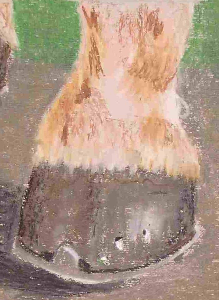 picture 228x312